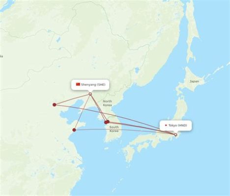 日本直飛瀋陽多久？飛行時間與天氣條件、航班班次及機場位置等因素有關。